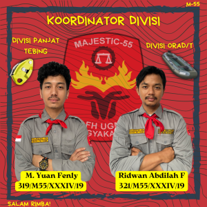 Koordinator Divisi